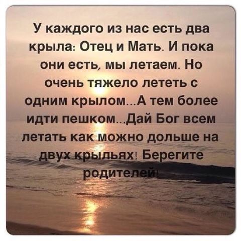 Неделя родительской любви